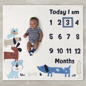 GERBER Baby Boy's MONTHLY MILESTONE BLANKET & FRAME SET 44x44" ~ NEW
